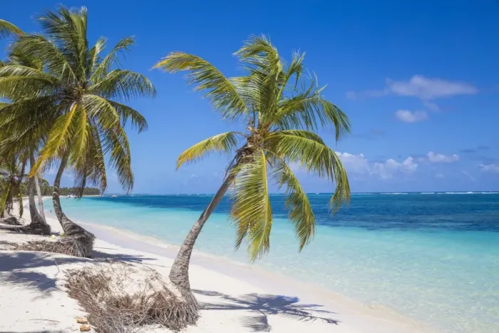 Framed Print : Playa Cabeza de Toro, Punta Cana, Dominican Republic, West Indies, Caribbean, Central Framed Print : Playa Cabeza de Toro, Punta Cana, Dominican Republic, West Indies, Caribbean, Central