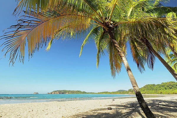 Playa Carrillo, Nicoya Peninsula, Guanacaste, Costa Rica, Latin America