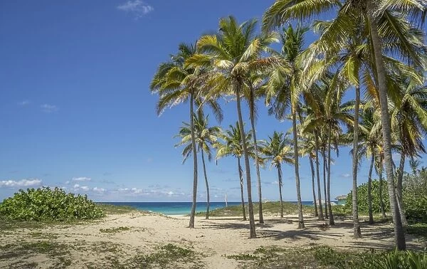 Playa De L Este, Havana, Cuba, West Indies, Caribbean, Central America