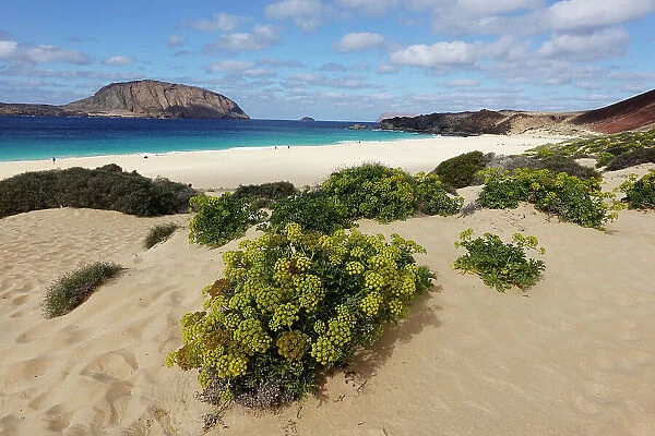 Playa de las Conchas, La Graciosa, Lanzarote, Canary Islands, Spain, Atlantic, Europe