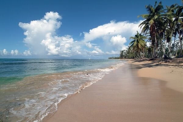 Playa Portillo, Las Terrenas, Samana, Dominican Republic, West Indies, Caribbean, Central America