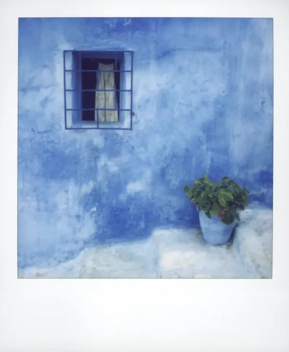 Framed Print : Polaroid of geranium in blue painted plantpot against bluewashed wall