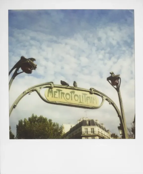 Framed Print : Polaroid of two pigeons sitting on sign outside Paris Metro, Paris, France, Europe Framed Print : Polaroid of two pigeons sitting on sign outside Paris Metro, Paris, France, Europe