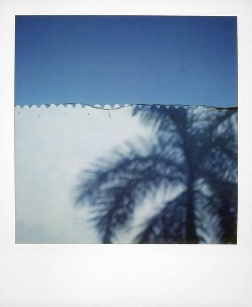 Polaroid of shadow of palm tree on painted blue wall, Plaza Mayor, Trinidad