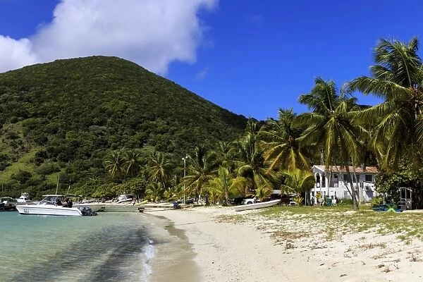Police station on beach, green hill and palm trees, Great Harbour, Jost Van Dyke, British Virgin Islands, West Indies, Caribbean, Central America