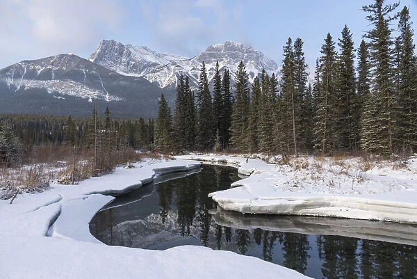 Policemans Creek in winter with Mount Lawrence Grassi, Canmore