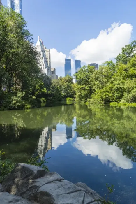 Framed Print : The Pond, Central Park, Manhattan, New York City, New York, United States of America, North America Framed Print : The Pond, Central Park, Manhattan, New York City, New York, United States of America, North America