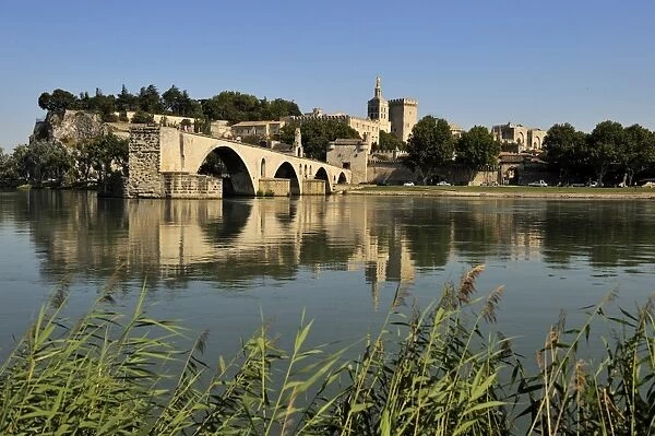 Pont Saint-Benezet and Avignon city viewed from across the River Rhone