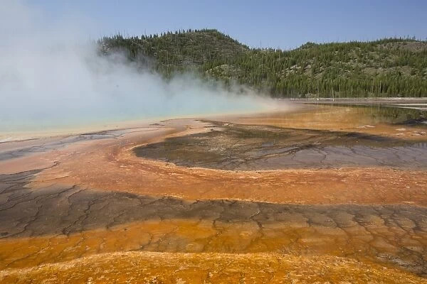 Pool runoff of orange bacteria and algae (Therophiles), Grand Prismatic Pool, Midway Geyser Basin, Yellowstone National Park, UNESCO World Heritage Site, Wyoming, United States of America, North America