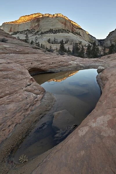 Pool in slick rock reflecting first light on a sandstone hill, Zion National Park, Utah, United States of America, North America