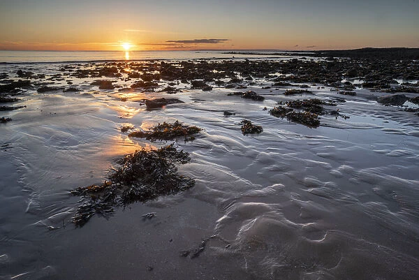 Pools and rocks at low tide, sunrise, Port Eynon Bay, Gower Peninsula, Swansea, Wales