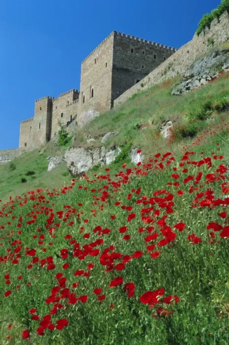 Framed Print : Poppies on hillside beneath the castle (now a Parador) Framed Print : Poppies on hillside beneath the castle (now a Parador)