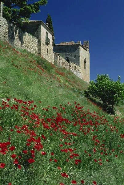 Poppies on hillside below the town