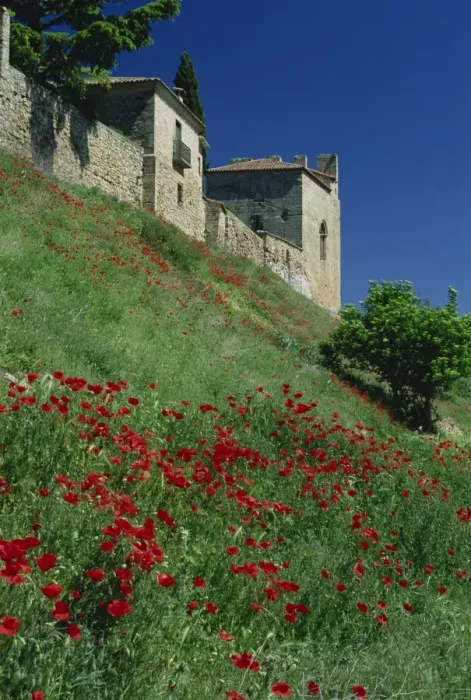 Framed Print : Poppies on hillside below the town Framed Print : Poppies on hillside below the town
