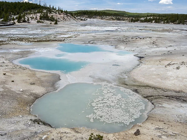 Porcelain Basin, in the Norris Geyser Basin area, Yellowstone National Park