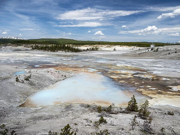 Porcelain Basin, in the Norris Geyser Basin area, Yellowstone National Park