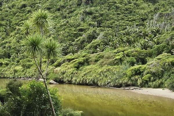 Pororari River, West Coast, South Island, New Zealand, Pacific