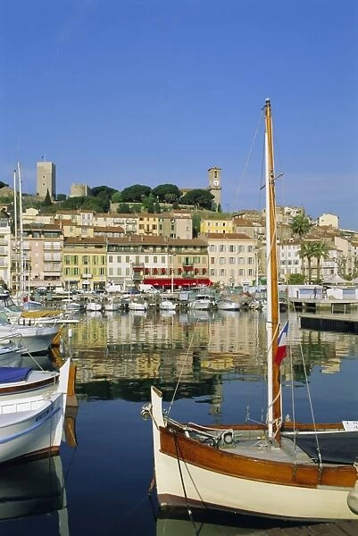 Port, Cannes, Cote d Azur, Alpes-Maritimes, Provence, France, Europe
