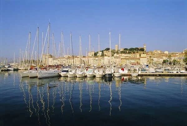 The Port, Cannes, Cote d Azur, Provence, France
