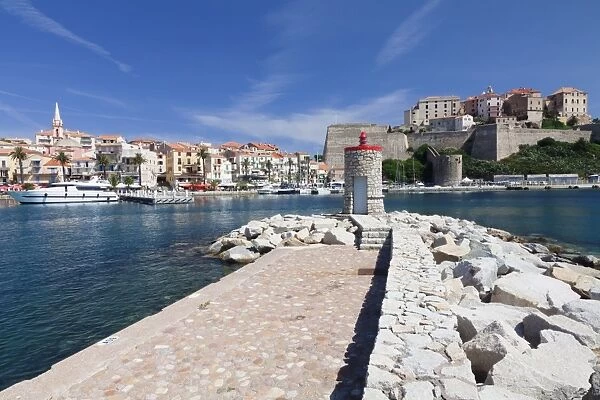 Port and citadel, Calvi, Balagne, Corsica, France, Mediterranean, Europe