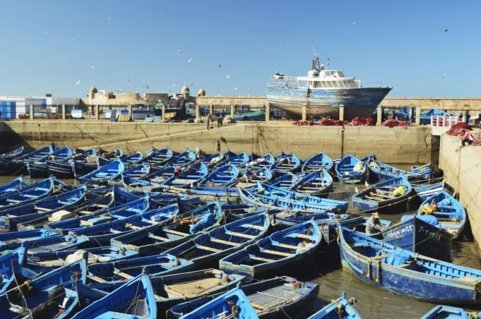 Framed Print : Port, Essaouira, Atlantic Coast, Morocco, North Africa, Africa Framed Print : Port, Essaouira, Atlantic Coast, Morocco, North Africa, Africa