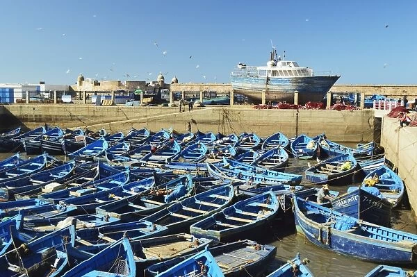 Port, Essaouira, Atlantic Coast, Morocco, North Africa, Africa