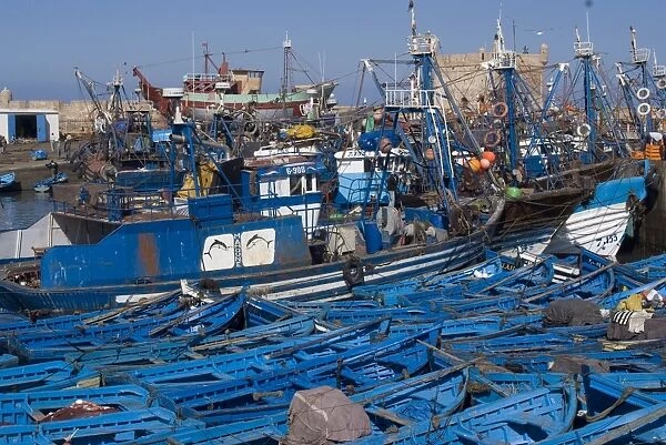 The port with fishing boats, Essaouira, Morocco, North Africa, Africa