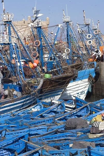 Port with fishing boats, Essaouira, Morocco, North Africa, Africa