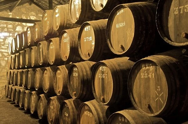 Port wine maturing in barrels in wine cellars, Vila Nova de Gaia, Porto, Portugal, Europe