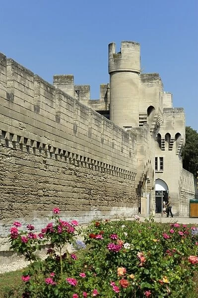 Porte de la Republique, city walls and ramparts, Avignon, Provence, France, Europe