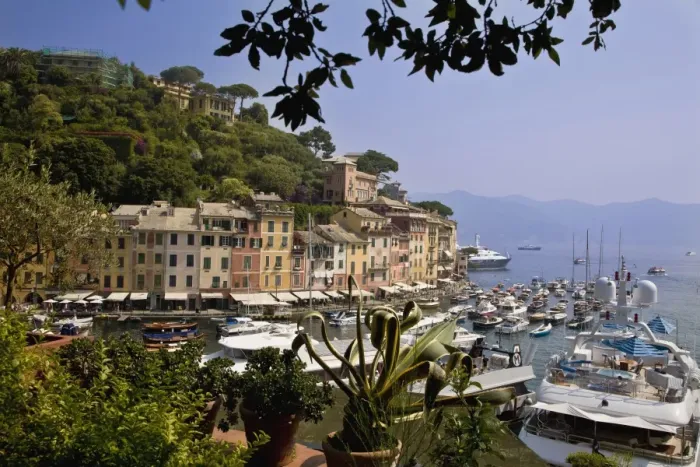 Framed Print : Portofino, Liguria, Italy, Europe Framed Print : Portofino, Liguria, Italy, Europe
