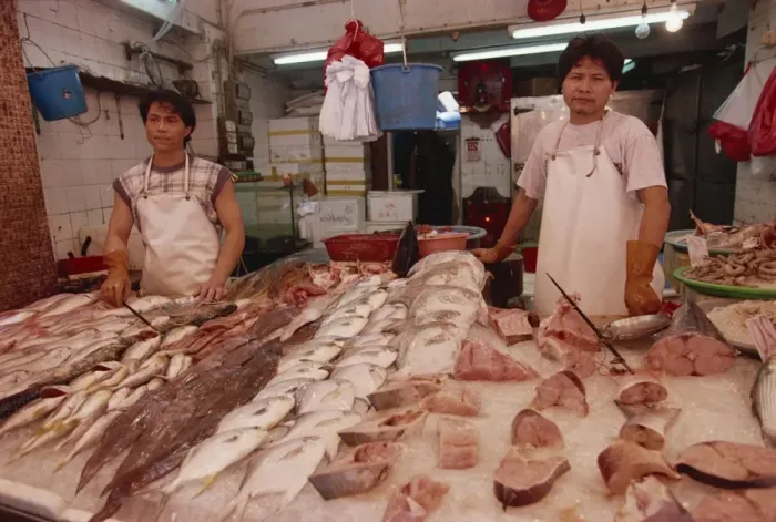 Framed Print : Portrait of two fishmongers at a stall with local fish for sale in a market in Hong Kong Framed Print : Portrait of two fishmongers at a stall with local fish for sale in a market in Hong Kong