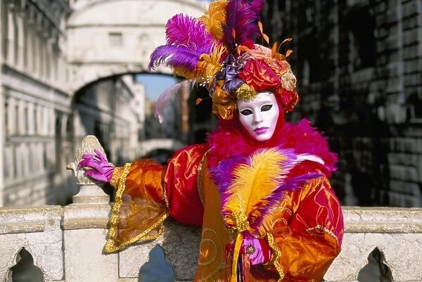 Portrait of a person dressed in mask and costume posing