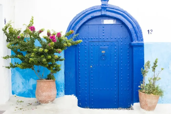 Framed Print : Pots and plants against blue and white wall in Kasbah des Oudaya (Kasbah of the Udayas) Framed Print : Pots and plants against blue and white wall in Kasbah des Oudaya (Kasbah of the Udayas)