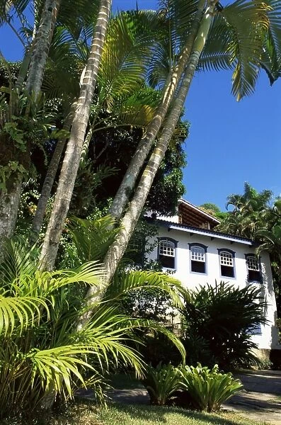 Pousada and palms, Pousada Picinguaba, Costa Verde, south of Rio, Brazil, South America