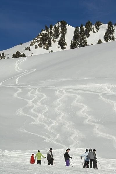 Powder skiing, Mayrhofen ski resort, Zillertal Valley, Austrian Tyrol, Austria, Europe