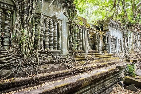 Prasat Beng Mealea temple ruins, Siem Reap Province, Cambodia, Indochina, Southeast Asia