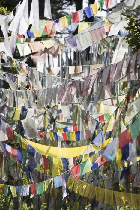 Framed Print : Prayer flags, Druk Wangyal Chorten, Bhutan, Asia Framed Print : Prayer flags, Druk Wangyal Chorten, Bhutan, Asia