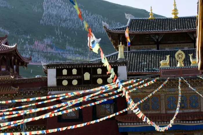 Framed Print : Prayer flags, Tagong Buddhist Temple, Tagong, Sichuan, China, Asia Framed Print : Prayer flags, Tagong Buddhist Temple, Tagong, Sichuan, China, Asia