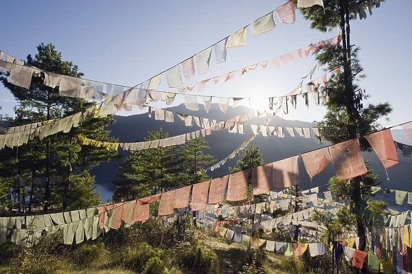 Prayer flags above Thimphu, Bhutan, Asia