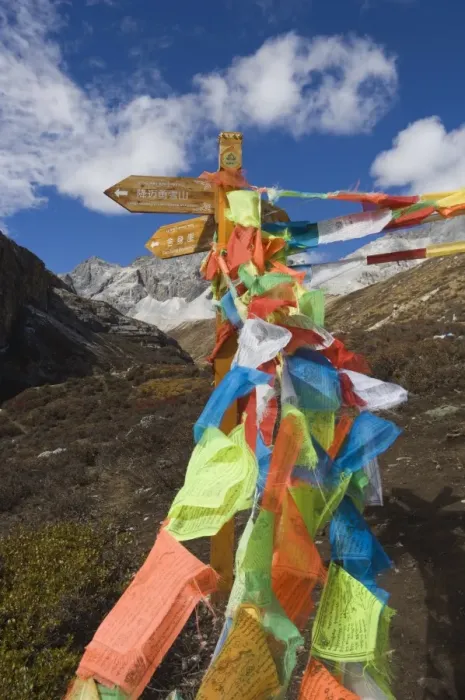 Framed Print : Prayer flags, Yading Nature Reserve, Sichuan Province, China, Asia Framed Print : Prayer flags, Yading Nature Reserve, Sichuan Province, China, Asia