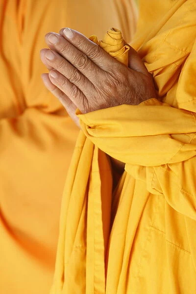 Praying Buddhist monk, Thiais, Vale de Marne, France, Europe