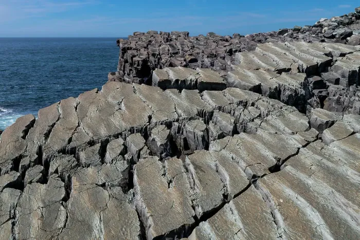 Framed Print : Precambrian fossils, Mistaken Point, UNESCO World Heritage Site, Avalon Peninsula, Newfoundland, Canada, North America Framed Print : Precambrian fossils, Mistaken Point, UNESCO World Heritage Site, Avalon Peninsula, Newfoundland, Canada, North America
