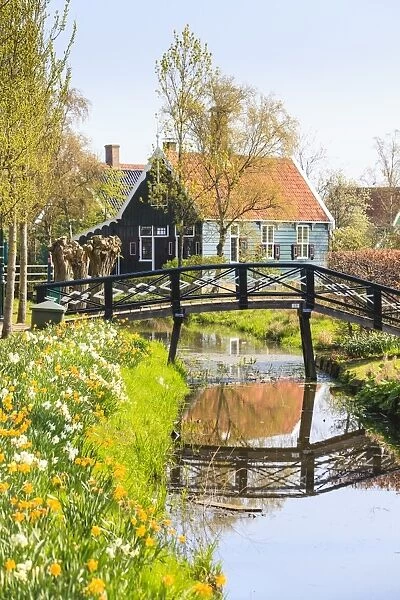 Preserved historic houses in Zaanse Schans, a village and working museum on the banks of the river Zaan, near Amsterdam, Zaandam, North Holland, Netherlands, Europe