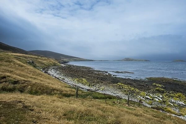 Pretty bay in Carcass Island, Falkland Islands, South America