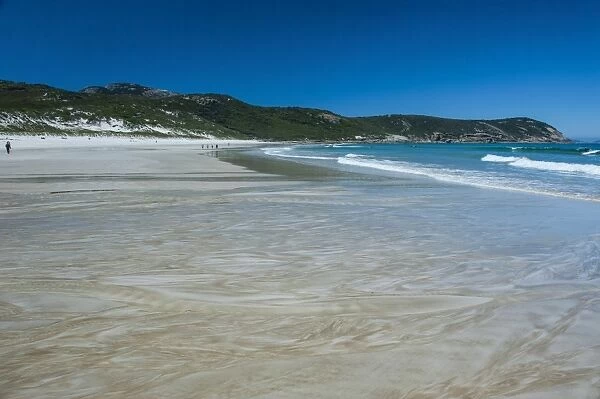 Pretty Norman Beach in Wilsons Promontory National Park, Victoria, Australia, Pacific