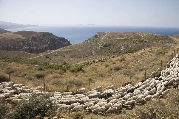 Preveli, Crete