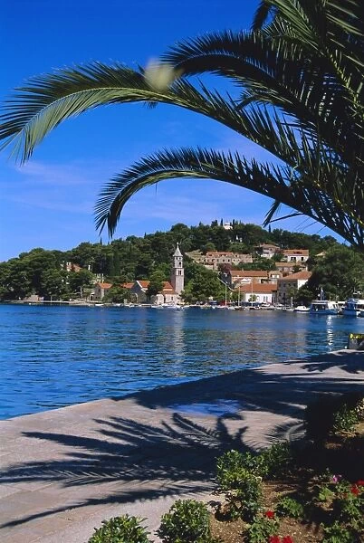 Promenade and harbour, Cavtat, Croatia, Europe