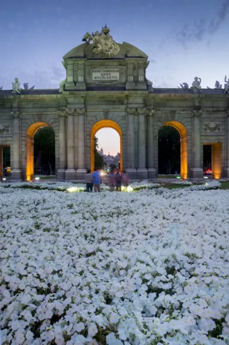 Framed Print : Puerto de Alcala at dusk and white flowerbed, Madrid, Spain, Europe Framed Print : Puerto de Alcala at dusk and white flowerbed, Madrid, Spain, Europe