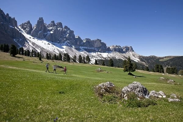 The Puez-Odle Nature Park, a very special place for nature lovers offering many hiking trails, peaks and flower fields, Funes, South Tyrol, Italy, Europe